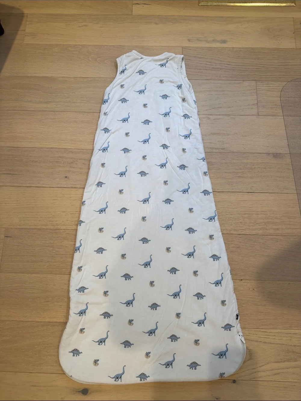 Sleeveless Baby Sleep Sack with Blue Dinosaur Print